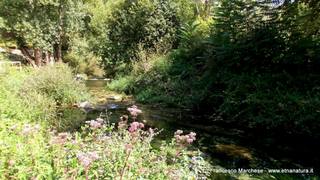 stello marchesa di Cassibile-10-02-2015 19-58-05